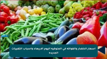 أسعار الخضار والفواكه في المنوفية اليوم الأربعاء وأسباب التغيرات الجديدة